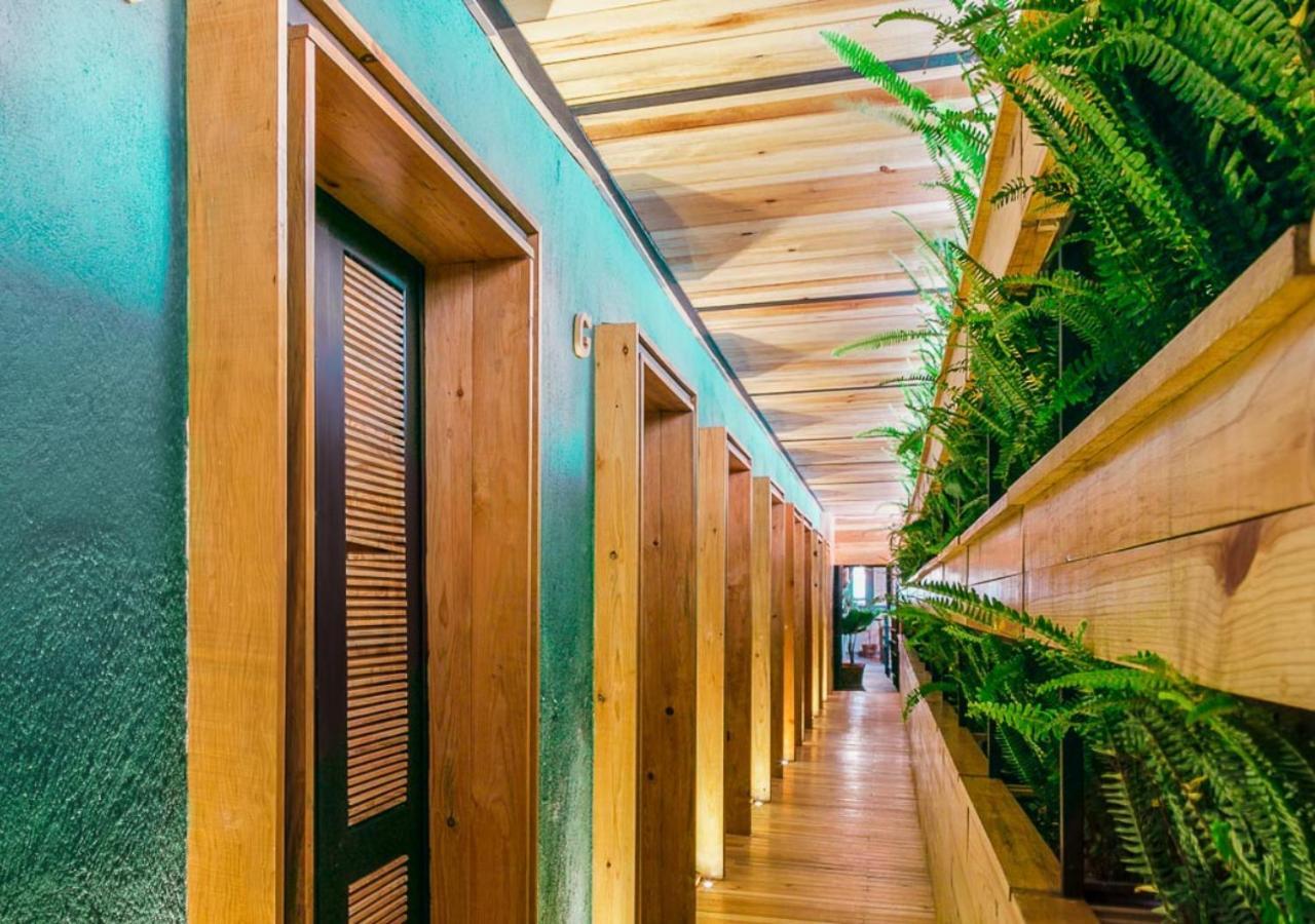 Mexico Hostel Екстер'єр фото