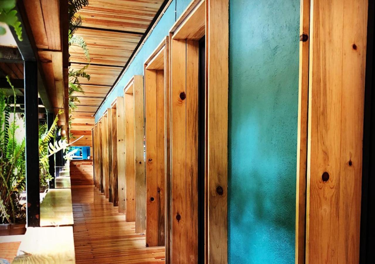 Mexico Hostel Екстер'єр фото