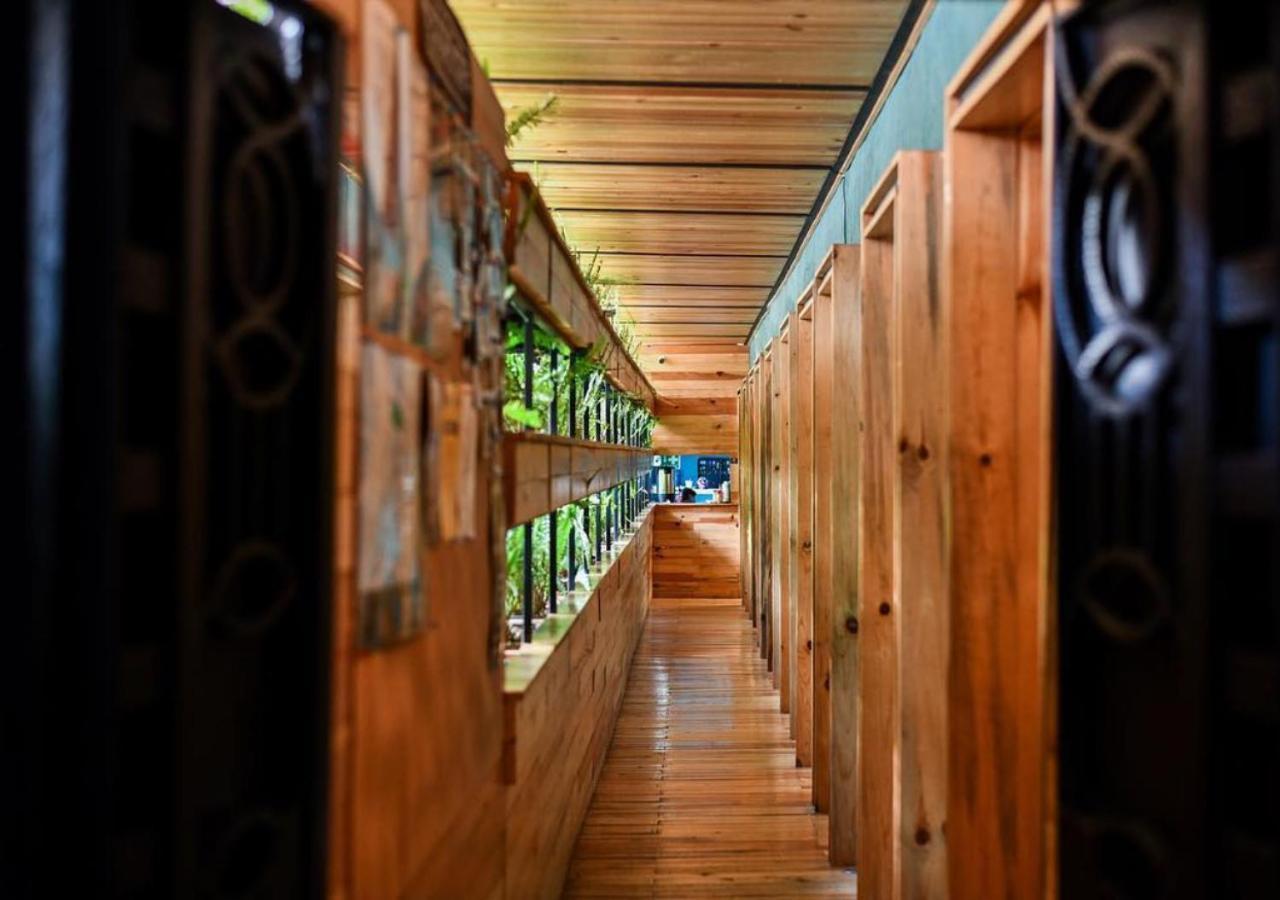 Mexico Hostel Екстер'єр фото